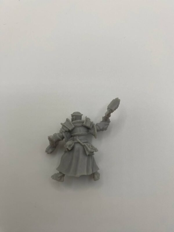 Prêtres de Sigmar – Image 5