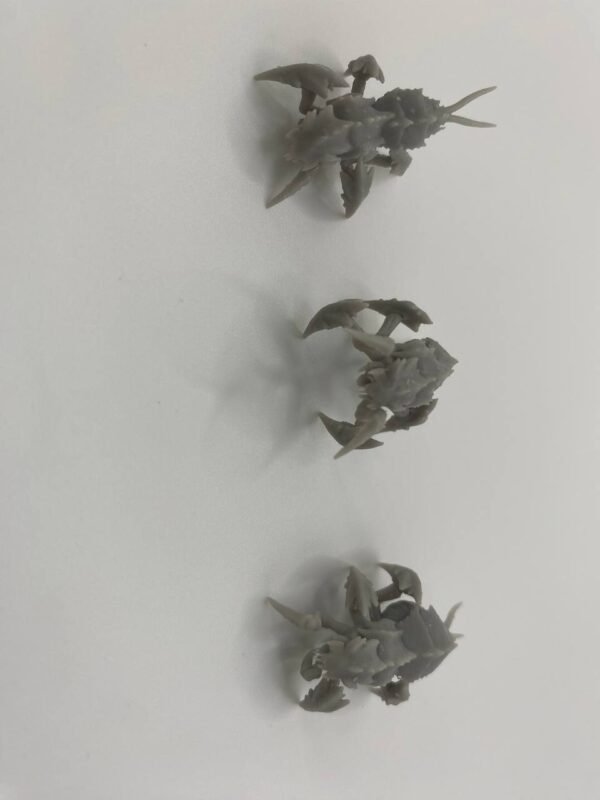 Essaim de Créatures Chitineuses – Image 5