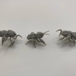 Essaim de Créatures Chitineuses