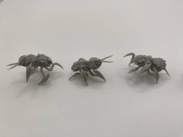 Essaim de Créatures Chitineuses