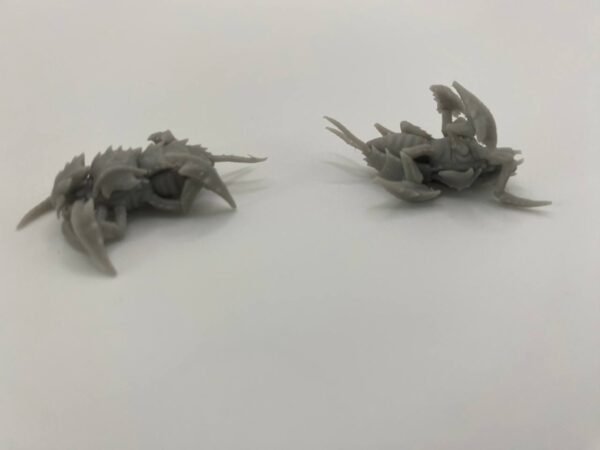 Essaim de Créatures Chitineuses – Image 8