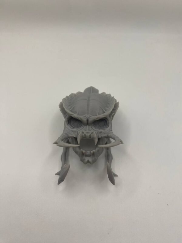 Crâne Predator – Image 4