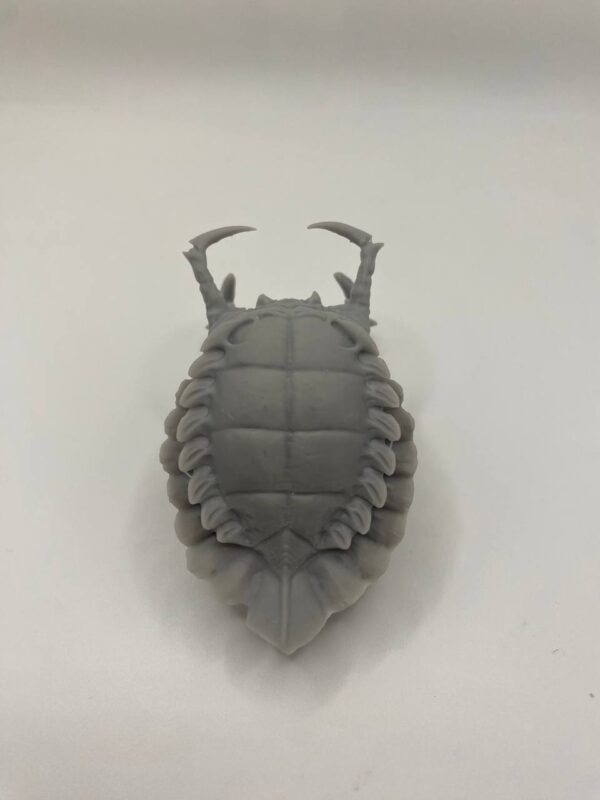 Crâne Predator – Image 3