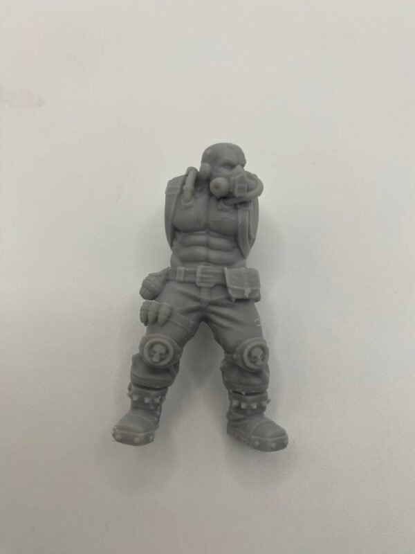 Brutes Ogryn – Image 3